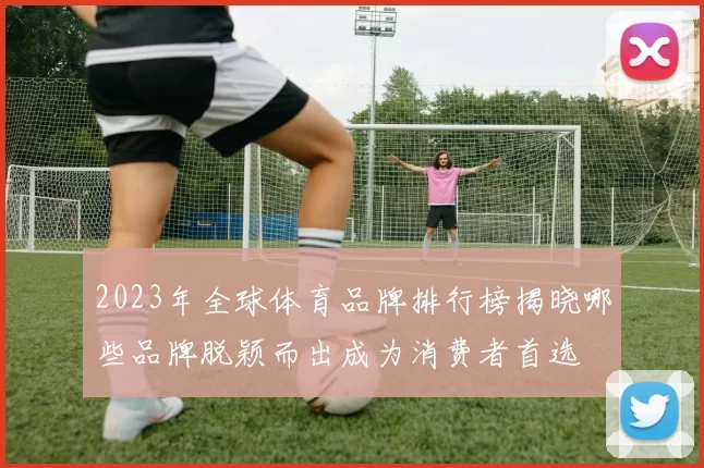 2023年全球体育品牌排行榜揭晓哪些品牌脱颖而出成为消费者首选
