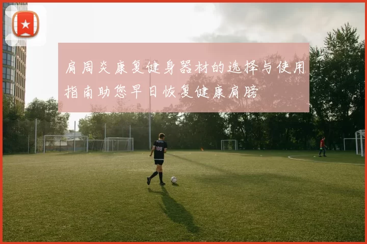 肩周炎康复健身器材的选择与使用指南助您早日恢复健康肩膀